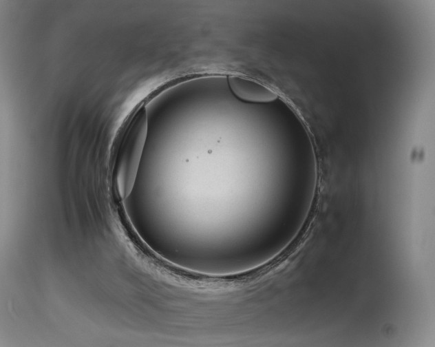 X0000113330008200909141438