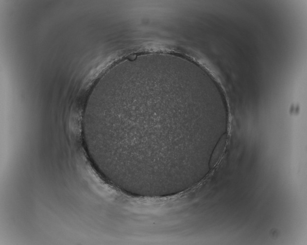 X0000113330009200909141438
