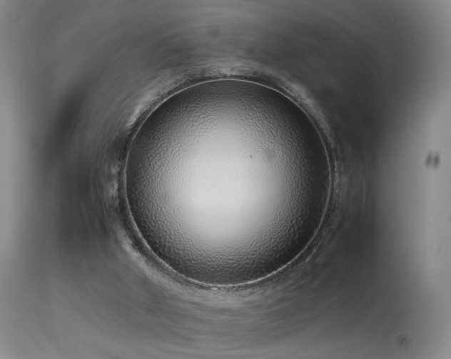 X0000113330010200909141438