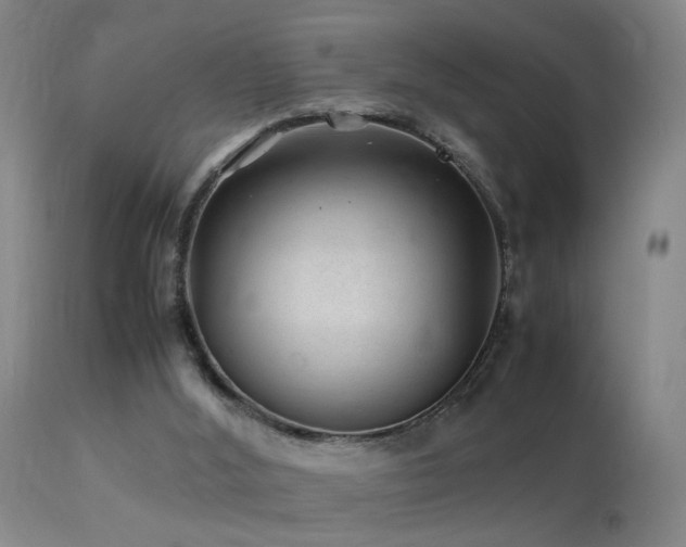 X0000113330012200909141438