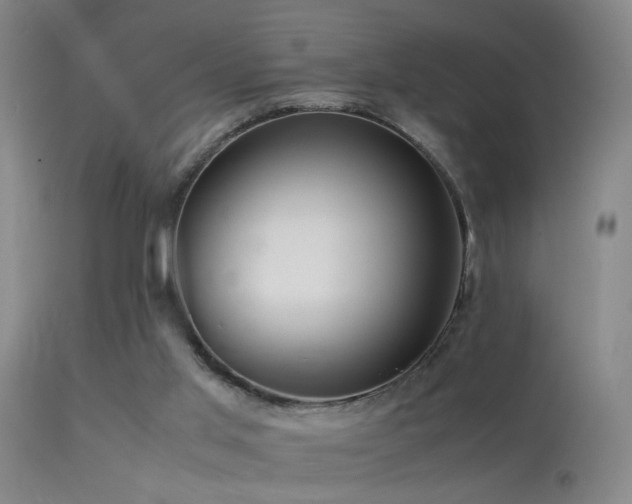 X0000113330013200909141438