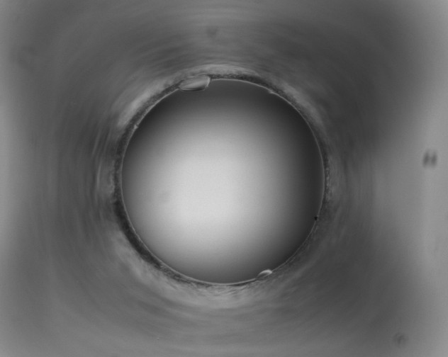 X0000113330015200909141438