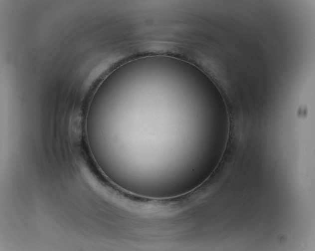 X0000113330016200909141438