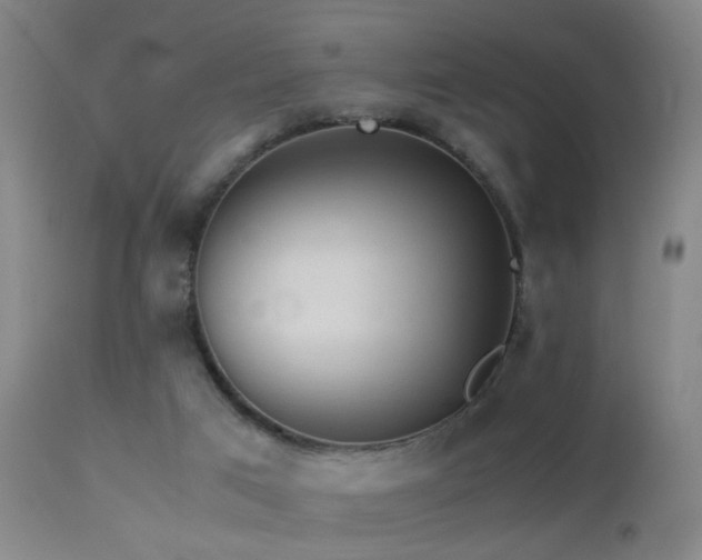 X0000113330017200909141438