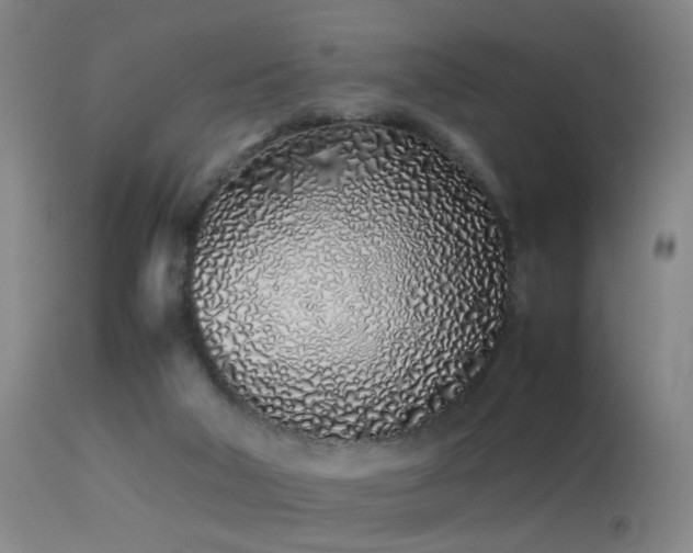 X0000113330018200909141438