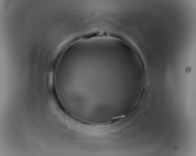 X0000113330019200909141438