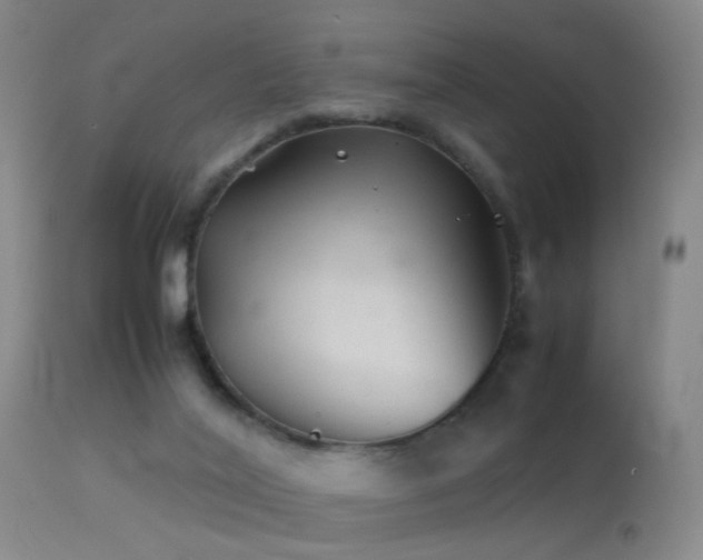 X0000113330020200909141438