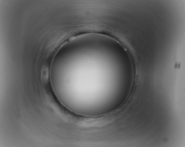 X0000113330021200909141437