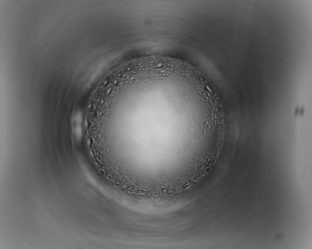 X0000113330022200909141437