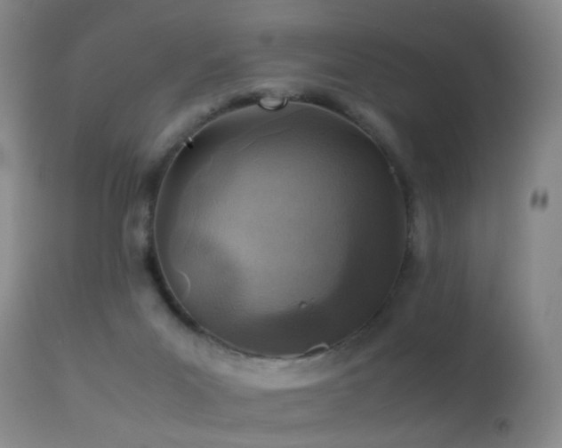 X0000113330023200909141437