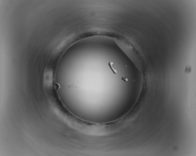 X0000113330024200909141437