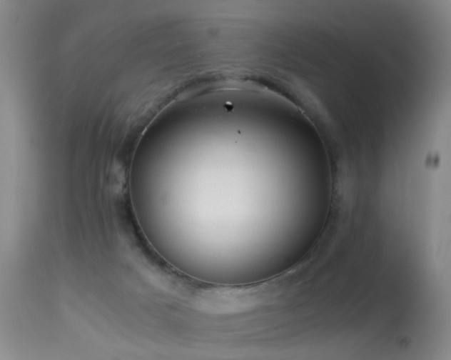 X0000113330025200909141437