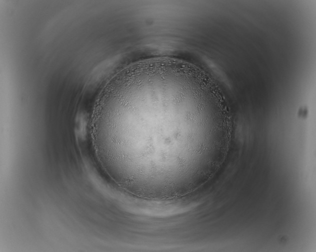 X0000113330026200909141437