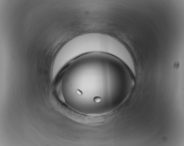 X0000113330027200909141437