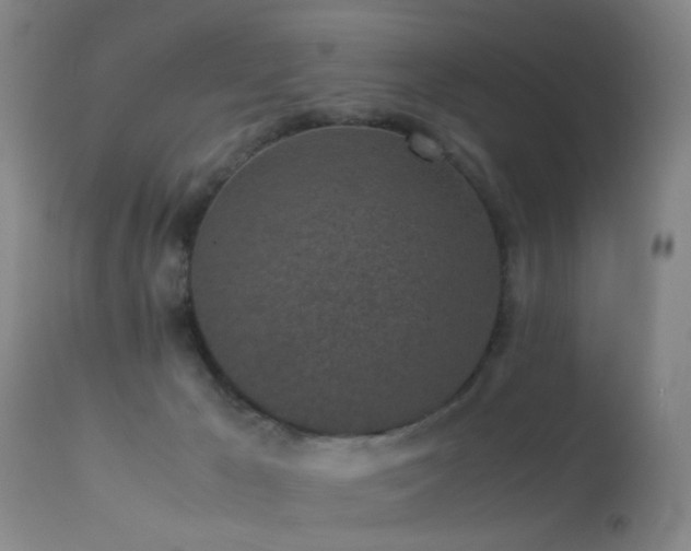 X0000113330029200909141437