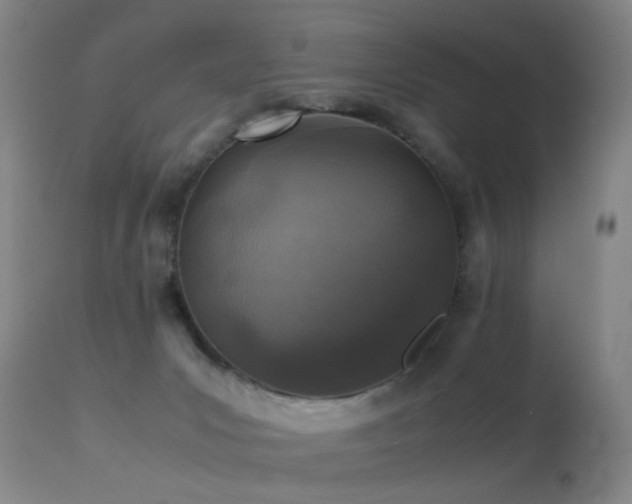 X0000113330031200909141437
