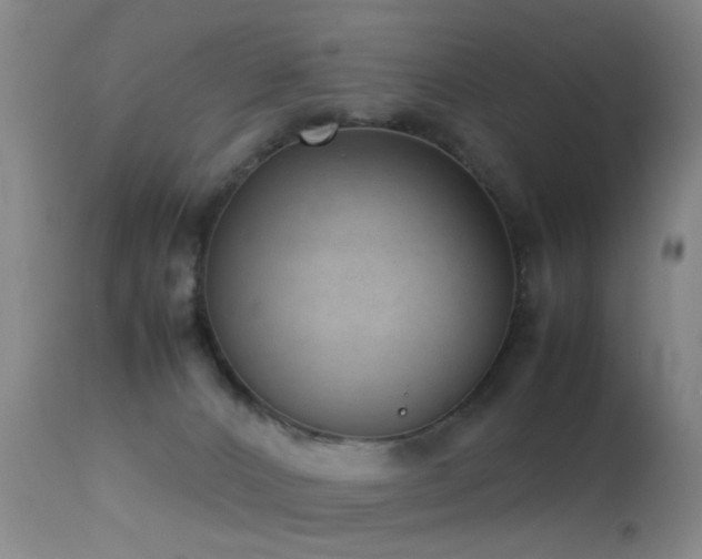 X0000113330032200909141437