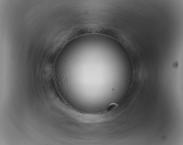 X0000113330034200909141437
