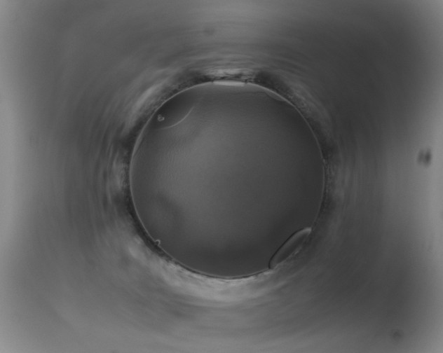 X0000113330035200909141437