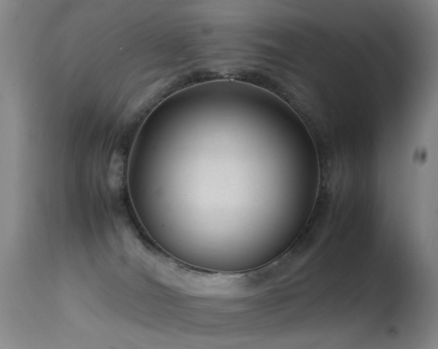 X0000113330036200909141437