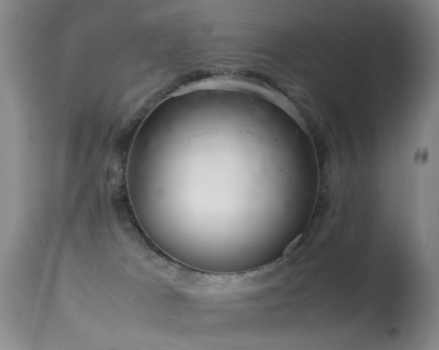 X0000113330037200909141437