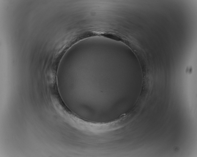X0000113330039200909141437