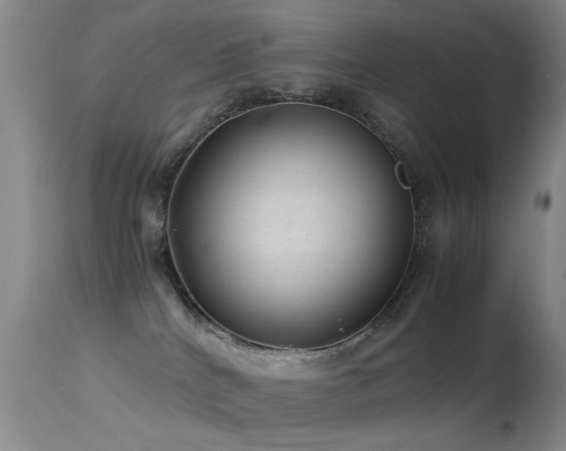 X0000113330040200909141437