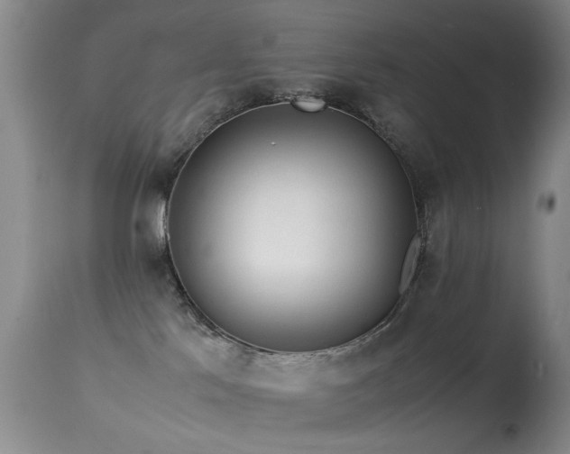 X0000113330041200909141437