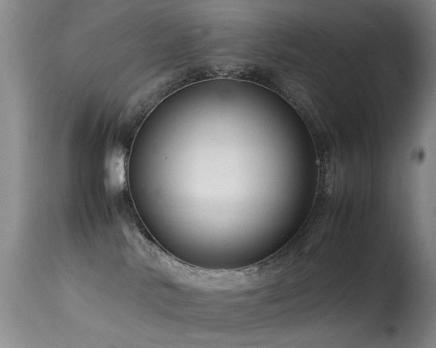 X0000113330042200909141437