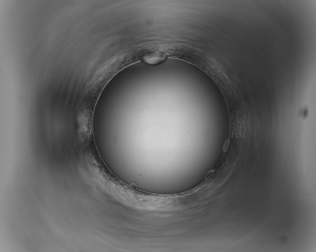 X0000113330044200909141437