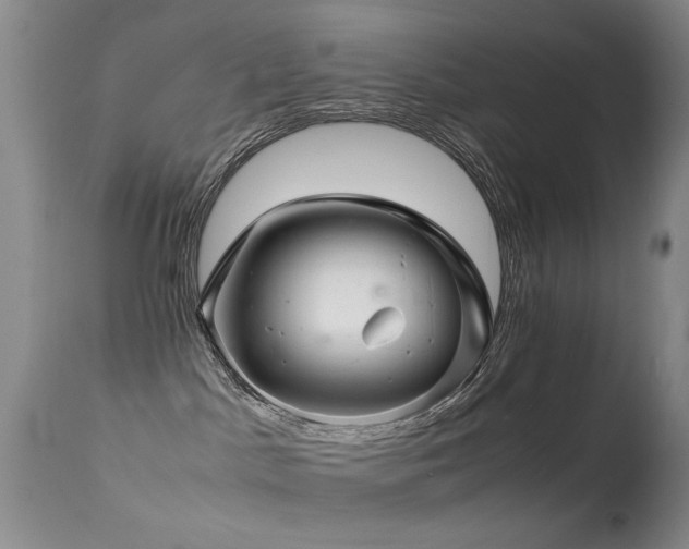 X0000113330045200909141437