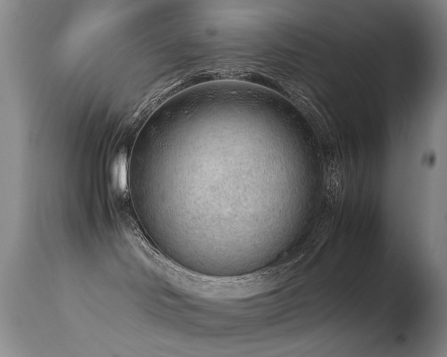 X0000113330046200909141437