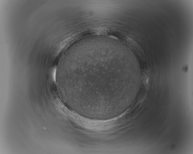 X0000113330047200909141437