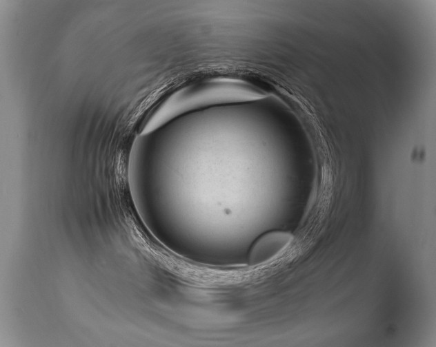 X0000113330048200909141437