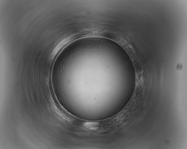 X0000113330051200909141436