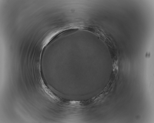 X0000113330052200909141436