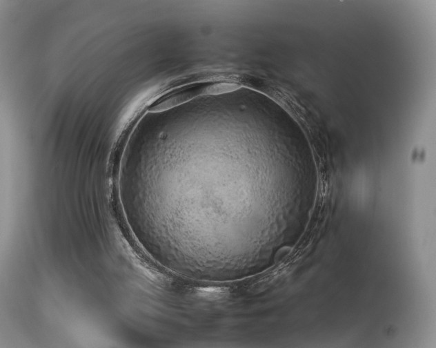 X0000113330053200909141437