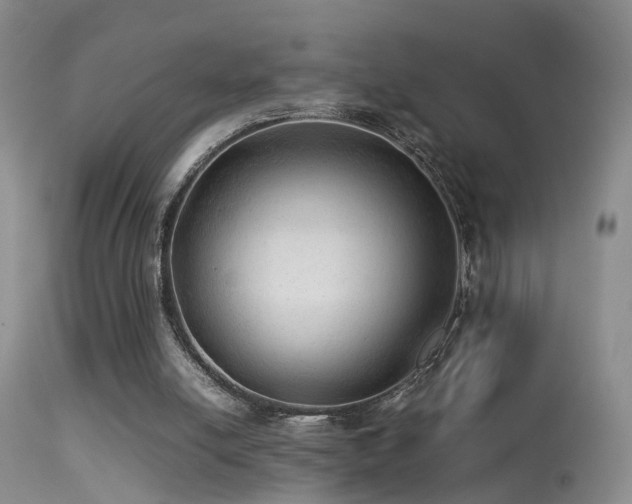 X0000113330054200909141437