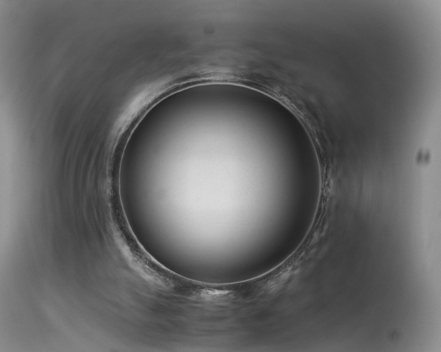 X0000113330055200909141437
