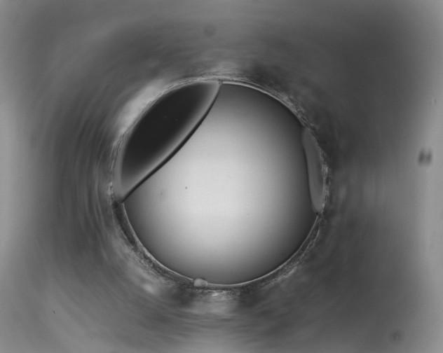 X0000113330056200909141437