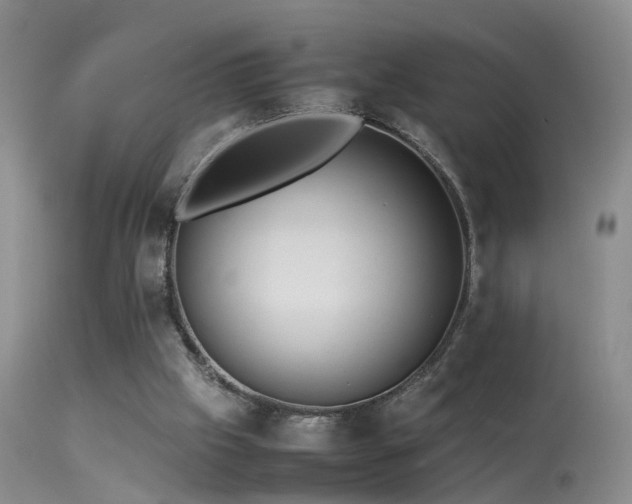 X0000113330057200909141437