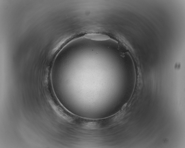 X0000113330058200909141437