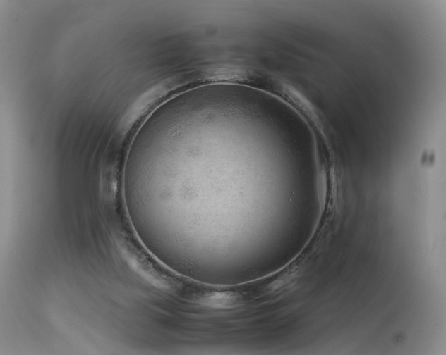 X0000113330059200909141437