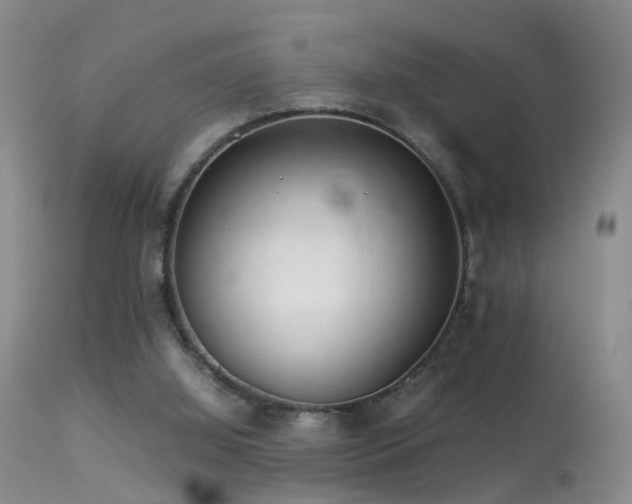 X0000113330060200909141437