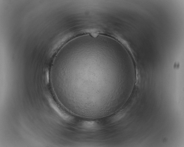 X0000113330061200909141437