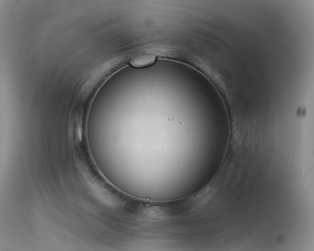 X0000113330062200909141437