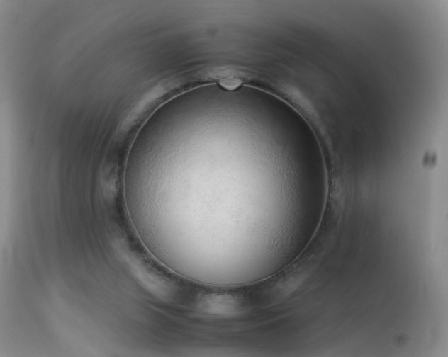 X0000113330063200909141437