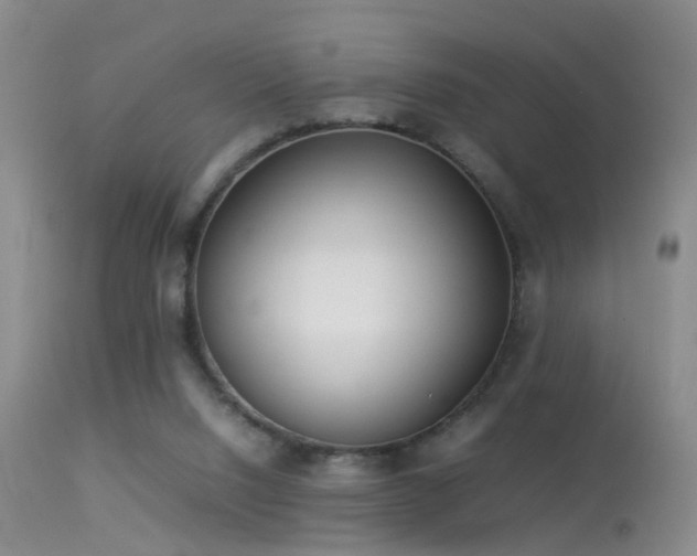 X0000113330064200909141437