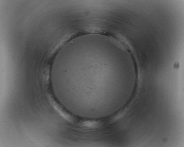 X0000113330065200909141437