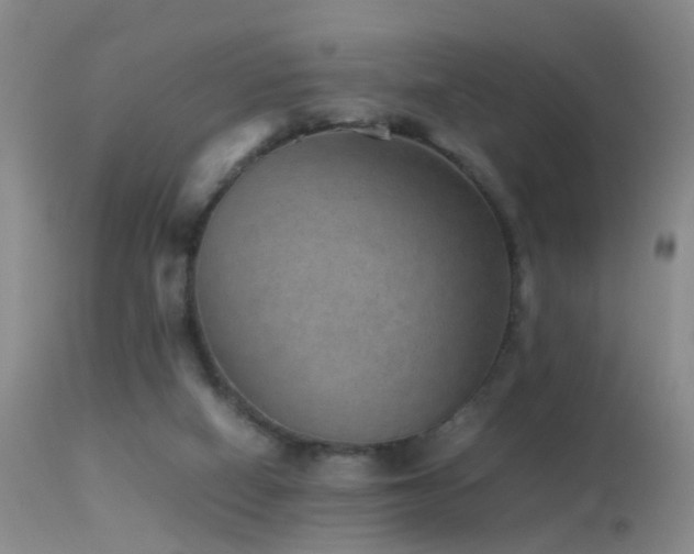 X0000113330066200909141437